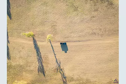 9036 Bullard Road, Dry Branch, GA 31020 - Photo 39