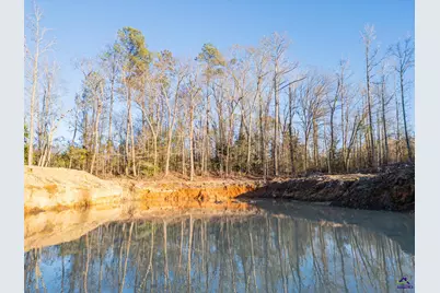 9036 Bullard Road, Dry Branch, GA 31020 - Photo 61