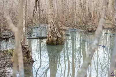 9036 Bullard Road, Dry Branch, GA 31020 - Photo 47