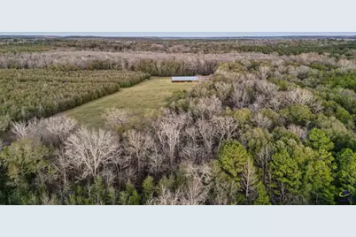 9036 Bullard Road, Dry Branch, GA 31020 - Photo 69