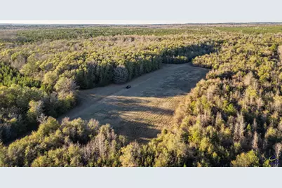 9036 Bullard Road, Dry Branch, GA 31020 - Photo 59