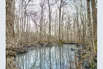 9036 Bullard Road, Dry Branch, GA 31020 - Photo 51