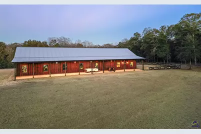 9036 Bullard Road, Dry Branch, GA 31020 - Photo 3