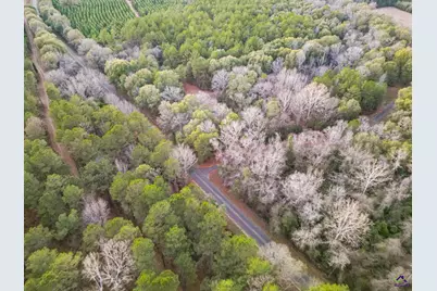 9036 Bullard Road, Dry Branch, GA 31020 - Photo 71