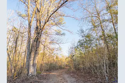 9036 Bullard Road, Dry Branch, GA 31020 - Photo 63