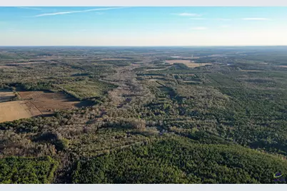 9036 Bullard Road, Dry Branch, GA 31020 - Photo 3