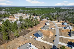 412 Gray Wolf Dr, Macon, GA 31216 - Photo 51