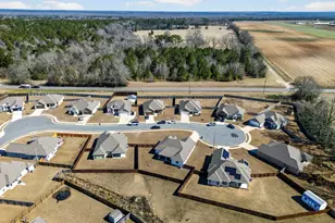 209 Huxley Ter, Bonaire, GA 31005 - Photo 9