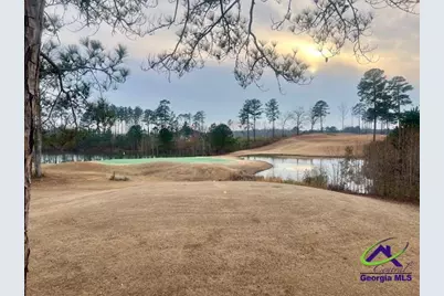 204 Trellis Walk, Macon, GA 31220 - Photo 5