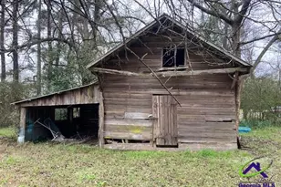 219 E Main St, Bronwood, GA 39826 - Photo 45