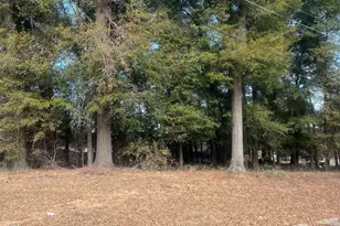 1200 Creekwood Dr, Perry, GA 31069 - Photo 1