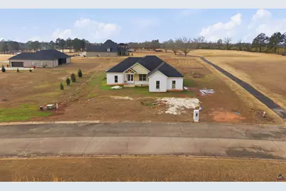 10 Crabapple Drive, Hawkinsville, GA 31036 - Photo 3