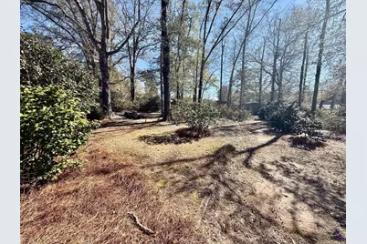 302 Anderson Street, Ideal, GA 31041 - Photo 35