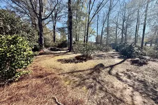 302 Anderson St, Ideal, GA 31041 - Photo 35