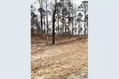 8290 Lower Thomaston Rd, Macon, GA 31220 - Photo 1