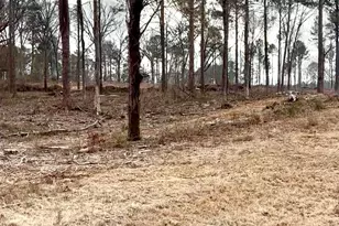 8290 Lower Thomaston Rd, Macon, GA 31220 - Photo 1