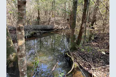 0 Hwy 19, Dublin, GA 31021 - Photo 9