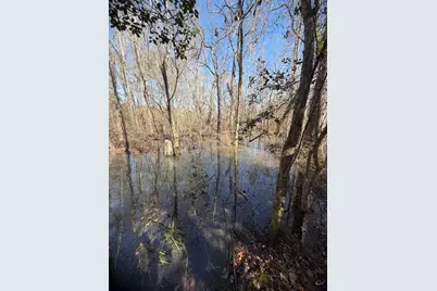 0 Hwy 19, Dublin, GA 31021 - Photo 5