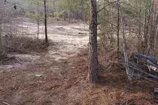 0 Hwy 19, Dublin, GA 31021 - Photo 1