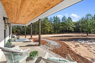 115 Watermelon Ln, Mauk, GA 31058 - Photo 7