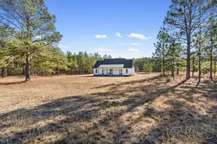 115 Watermelon Ln, Mauk, GA 31058 - Photo 49