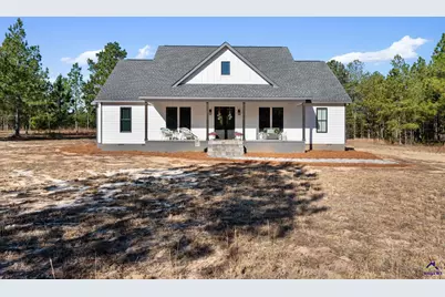 115 Watermelon Lane, Mauk, GA 31058 - Photo 3