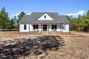 115 Watermelon Ln, Mauk, GA 31058 - Photo 3