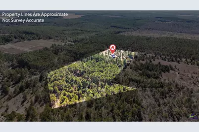 115 Watermelon Lane, Mauk, GA 31058 - Photo 53