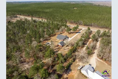 3520 Lower Hartley Bridge Road, Byron, GA 31008 - Photo 11