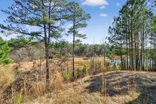 1307 Dayle Ct, Macon, GA 31211 - Photo 29