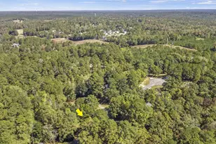 112 Southern Pines Circle, Macon, GA 31211 - Photo 37