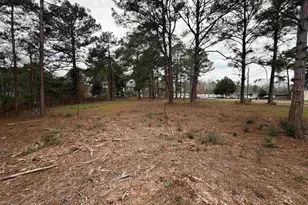 111 Persimmon Dr, Kathleen, GA 31047 - Photo 1