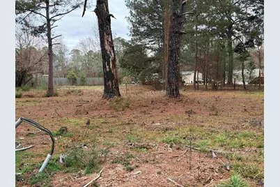 111 Persimmon Drive, Kathleen, GA 31047 - Photo 3