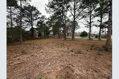 107 Persimmon Drive, Kathleen, GA 31047 - Photo 3