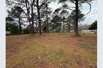 107 Persimmon Drive, Kathleen, GA 31047 - Photo 5