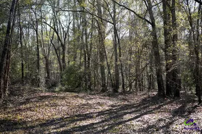 Highway 57, Gordon, GA 31054 - Photo 9