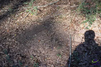 Highway 57, Gordon, GA 31054 - Photo 17