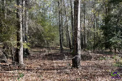 Highway 57, Gordon, GA 31054 - Photo 15