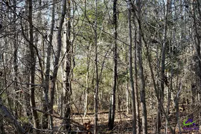 Highway 57, Gordon, GA 31054 - Photo 13