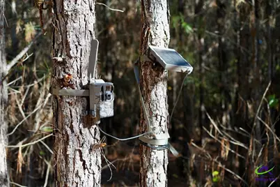 Highway 57, Gordon, GA 31054 - Photo 21