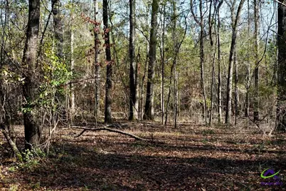 Highway 57, Gordon, GA 31054 - Photo 19