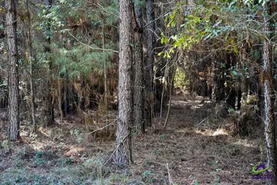 Highway 57, Gordon, GA 31054 - Photo 5