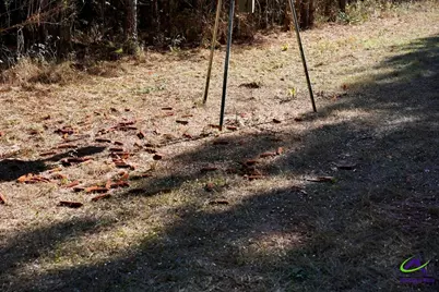 Highway 57, Gordon, GA 31054 - Photo 7