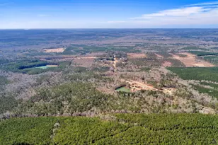 407 J R Sims Rd, Irwinton, GA 31042 - Photo 75