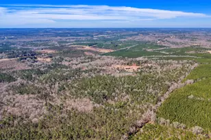 407 J R Sims Rd, Irwinton, GA 31042 - Photo 77