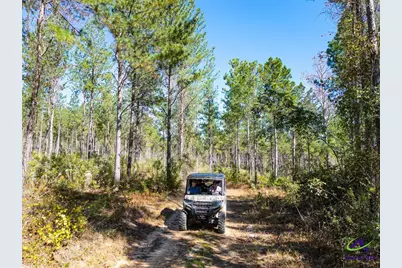 Ohp Dominy Road, Toomsboro, GA 31090 - Photo 5