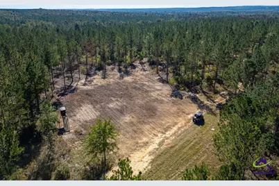 Ohp Dominy Road, Toomsboro, GA 31090 - Photo 3