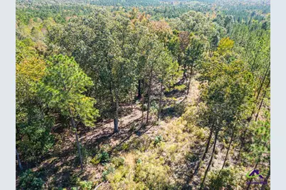 Ohp Dominy Road, Toomsboro, GA 31090 - Photo 21