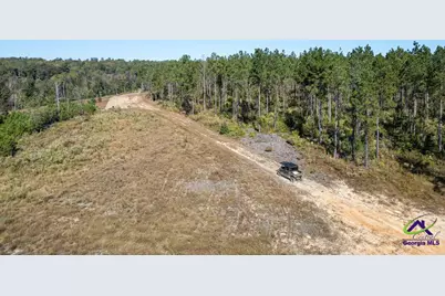 Ohp Dominy Road, Toomsboro, GA 31090 - Photo 7