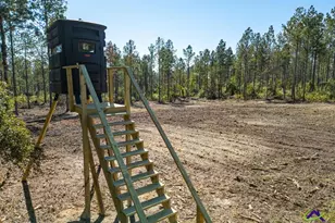 Ohp Dominy Rd, Toomsboro, GA 31090 - Photo 1